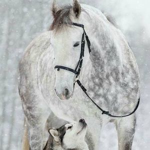 Meet your Posher, Anita